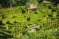 /album/fotogalerie-prirodni-bludiste-a-zelene-divadlo-nove-hrady/labyrint-nove-hrady3-jpg1/